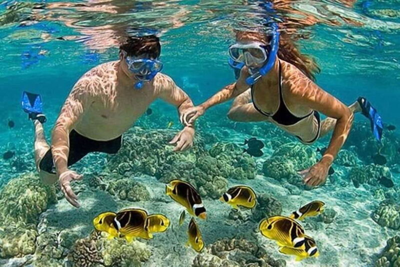 Lombok: Gili Kondo, Petagan, dan kapal Snorkeling Tour - Key Points