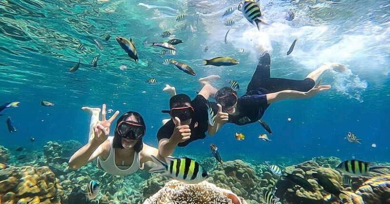 Lombok: Gili Kondo, Petagan, dan kapal Snorkeling Tour - Authentic Experiences and Reviews