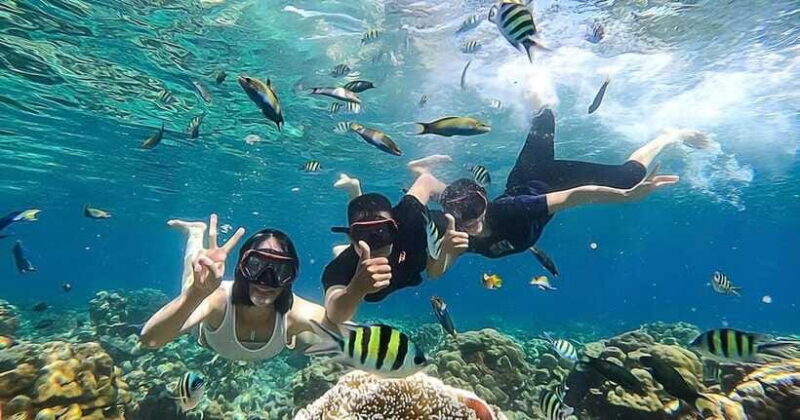 Lombok: Gili Kondo, Petagan, dan kapal Snorkeling Tour - The Sum Up