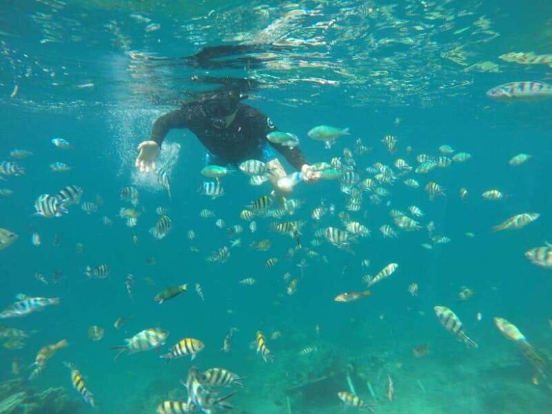 Lombok: Gili Nanggu, Kedis, and Sudak Islands Boat Tour - Key Points