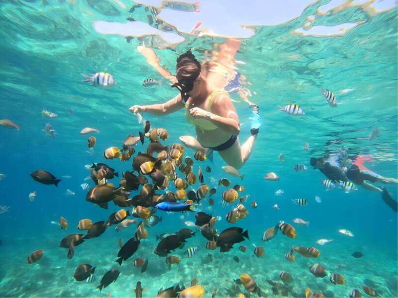 Lombok: Gili Nanggu, Sudak and Kedis Private Snorkeling Tour - Why This Tour Stands Out