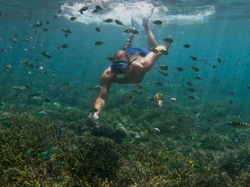 Lombok: Gili Nanggu, Sudak, and Kedis Snorkeling Tour - Who This Tour Is Best For