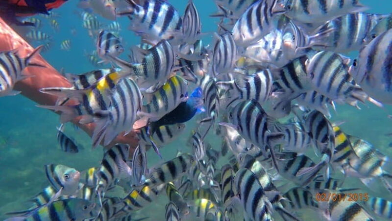 Lombok: Gili Nanggu, Sudak, and Kedis Snorkeling Tour - The Sum Up