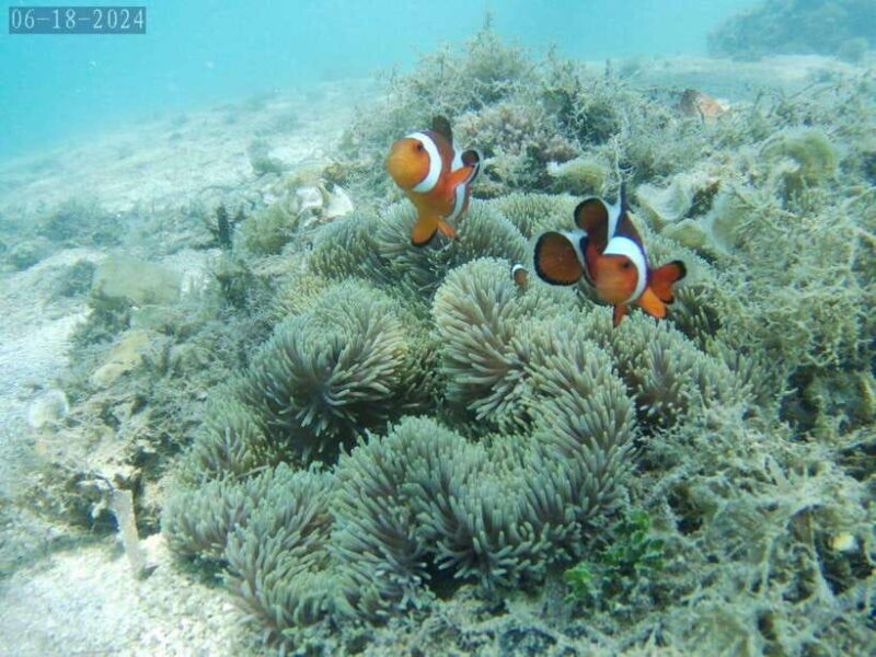 Lombok: Gili Nanggu, Tangkong, Sudak, and Kedis Islands Tour - Key Points