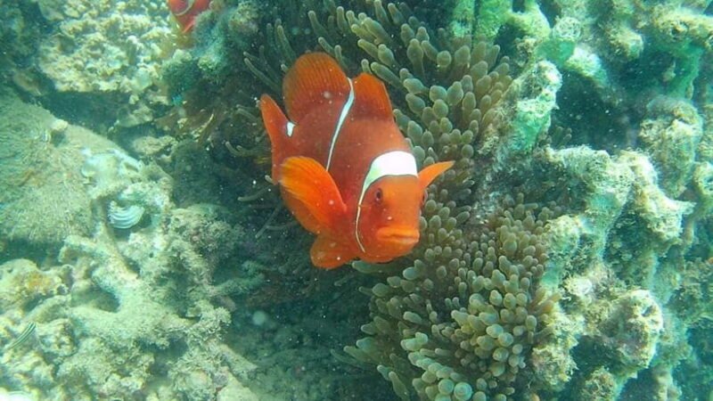 Lombok: Gili Rengit, Gili Gede, and Gili Layar Island Tour - Diving Into Details: Why This Tour Works Well