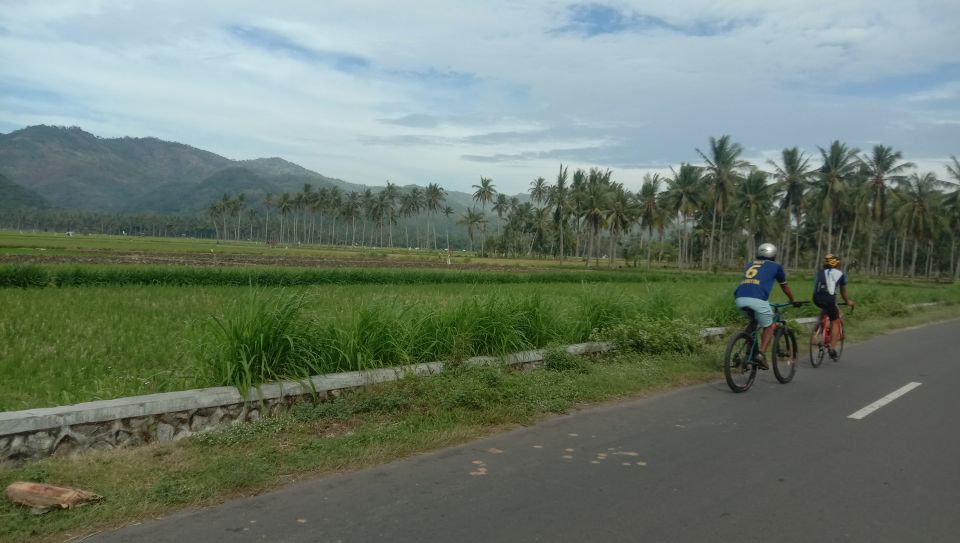Lombok: Half Day City and Pengsong Countryside Biking Tour - Key Points