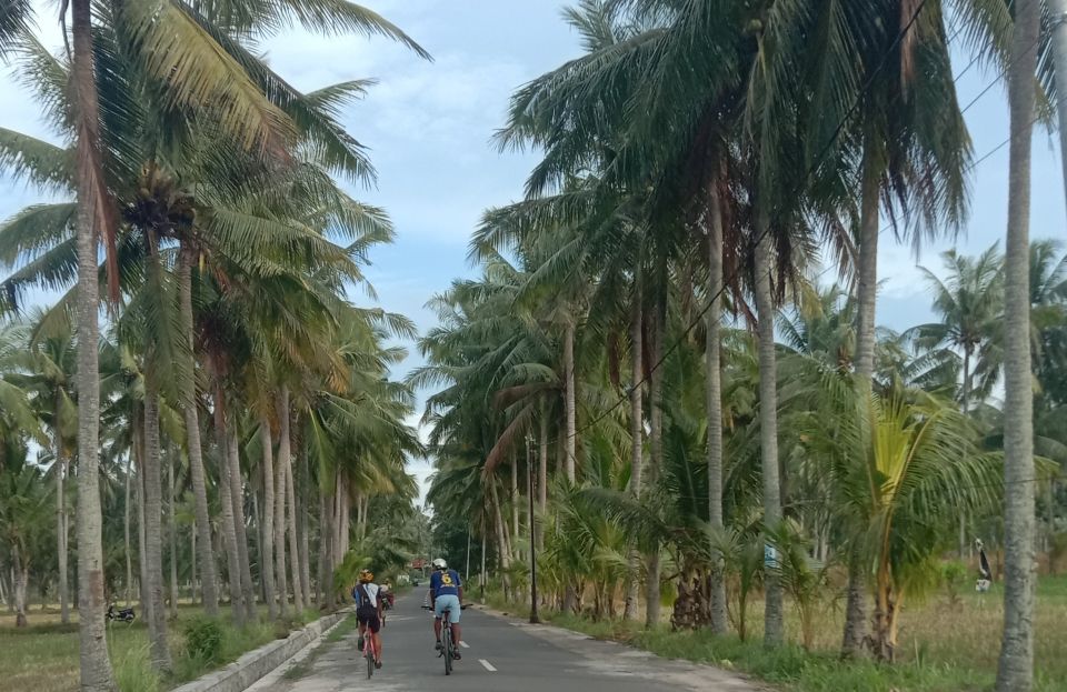 Lombok: Half Day City and Pengsong Countryside Biking Tour - Ancient Hanging Bridge