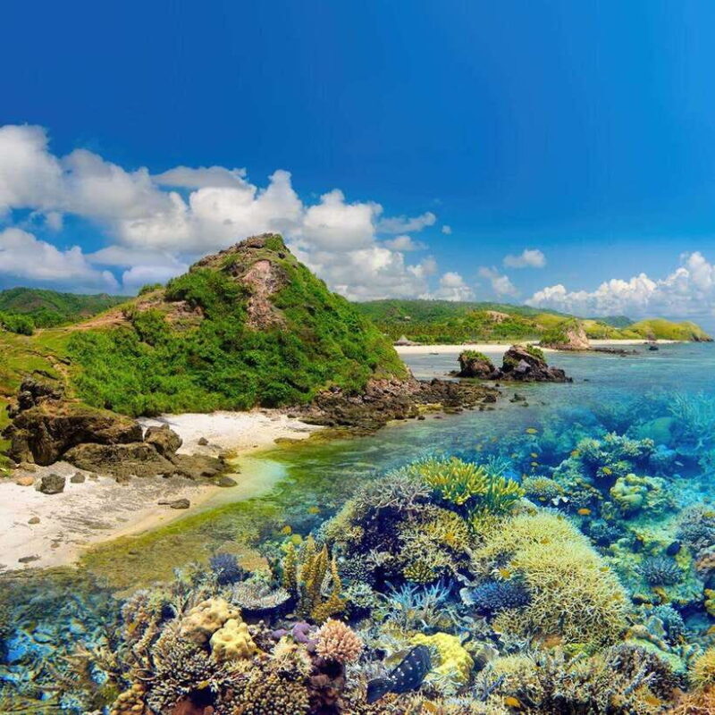 Lombok: Kenawa Island One-Day Tour Package (Start Lombok) - Frequently Asked Questions