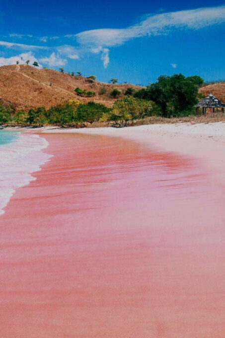 Lombok: Komodo Island 4-Day Boat Trip With Food and Board - Frequently Asked Questions
