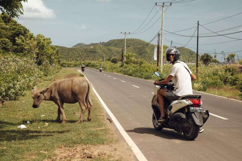 Lombok Loop: 4-Day Small Group Motorcycle Adventure - FAQ