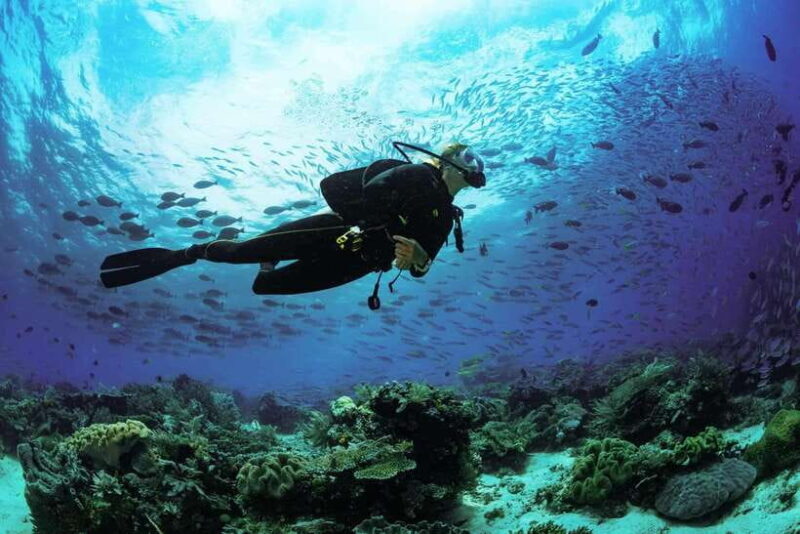 Lombok: Open Water Diver Course - Who Should Consider This Course?