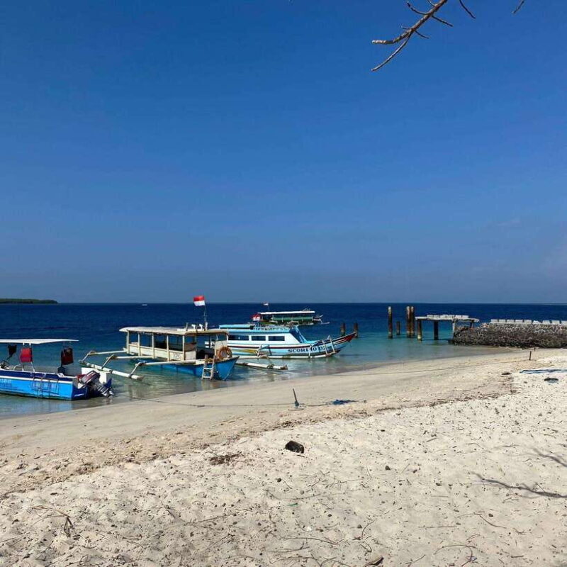 Lombok : Pink Beach Boat Trip ( Full Day + Snorkeling ) - Practical Tips for Travelers