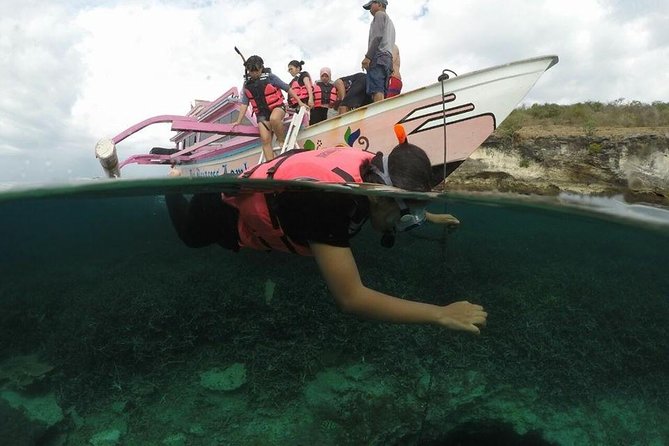 Lombok Pink Beach Boat Trip (Full Day + Snorkeling) - Tour Pricing Information