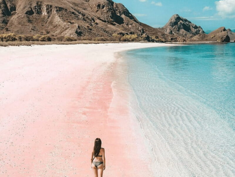 Lombok: Pink Beach Snorkeling and Picnic Tour Fullday - An In-Depth Look at the Pink Beach Snorkeling Tour
