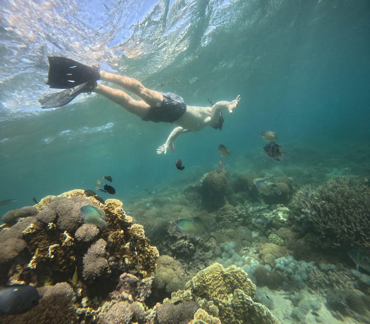 Lombok: Pink Beach Snorkeling Trip Include Lunch - Itinerary Details
