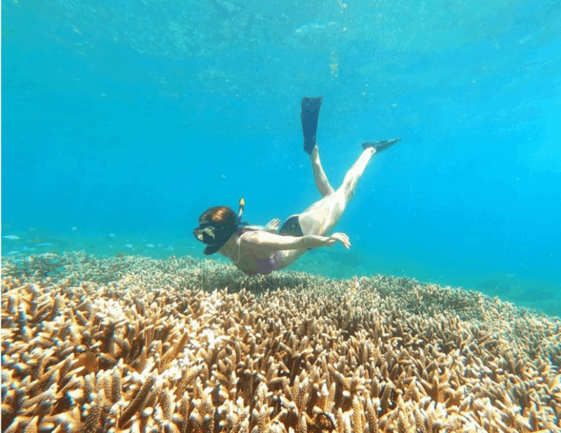 Lombok: Pink Beach Snorkeling Trip Include Lunch - Important Considerations
