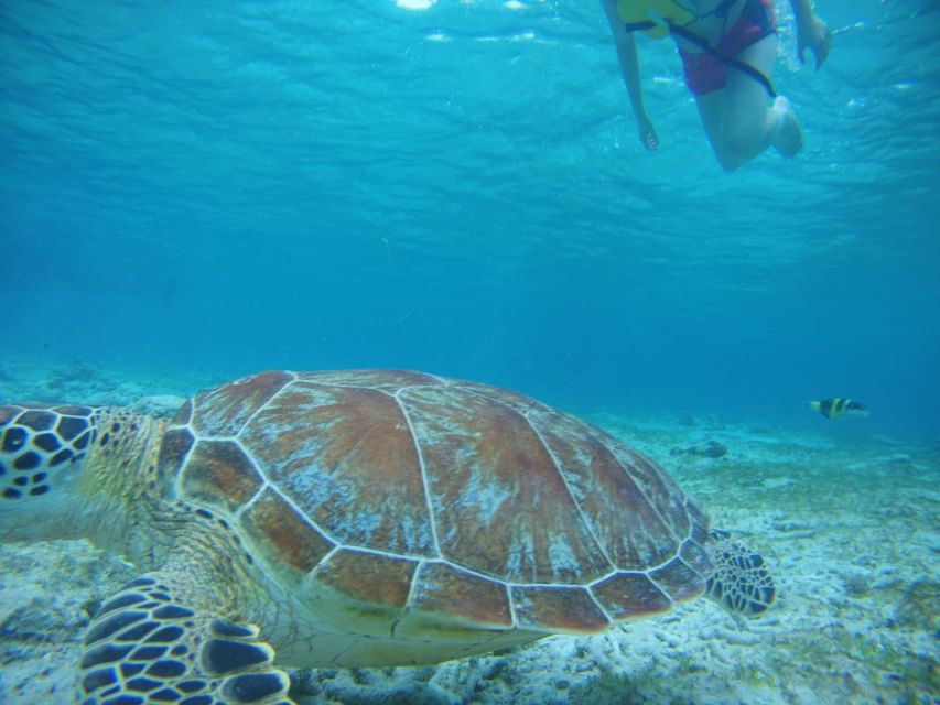 Lombok: Private Island Tour by Boat With Snorkeling - Exploring the Islands