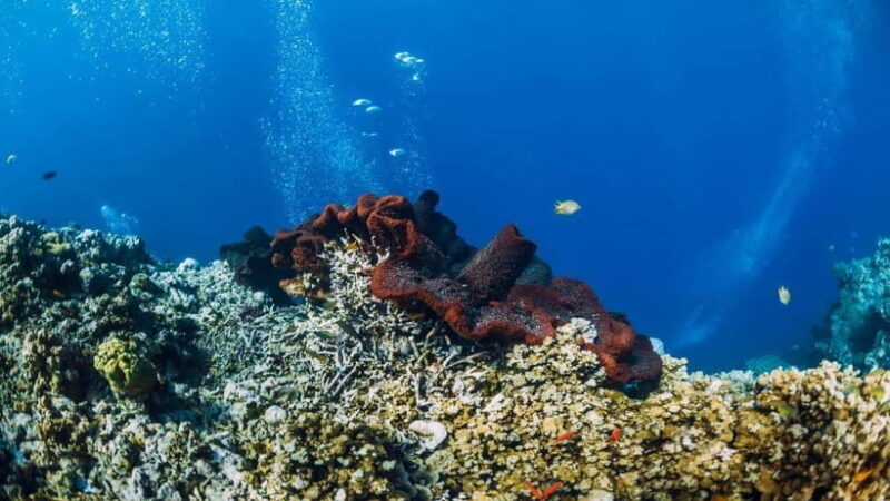 Lombok: Private Snorkeling at 4 Gili Spots with GoPro Camera - Key Points