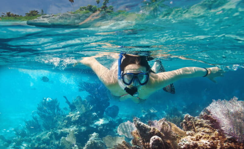 Lombok: Private Snorkeling at 4 Gili Spots with GoPro Camera - Turtle Point: Encounter with Gentle Giants