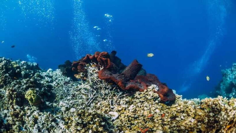 Lombok: Private Snorkeling at 4 Gili Spots with GoPro Camera - Return Trip: Reflecting on the Day