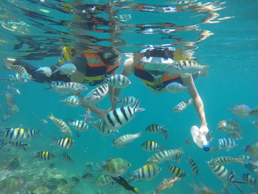Lombok: Private Snorkeling at Gili Nanggu, Gili Sudak, and Gili Kedis. - Itinerary Details