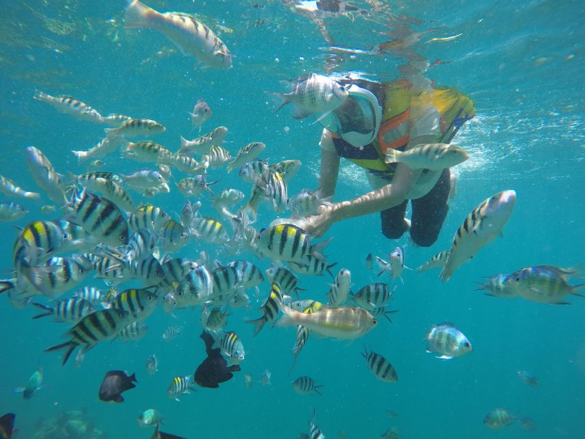 Lombok: Private Snorkeling at Gili Nanggu, Gili Sudak, and Gili Kedis. - Snorkeling Highlights