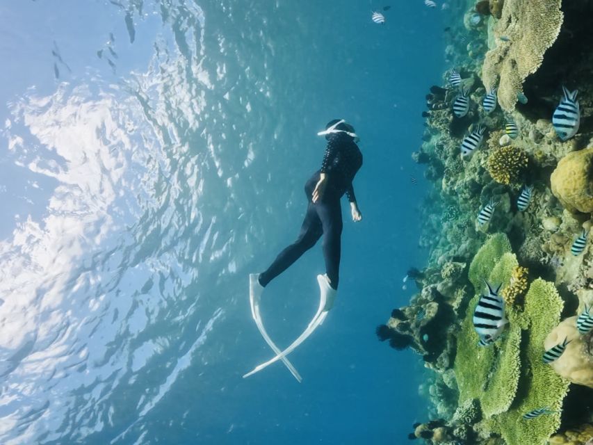 Lombok: Private Snorkeling at Gili Nanggu, Gili Sudak, and Gili Kedis. - Explore the Islands