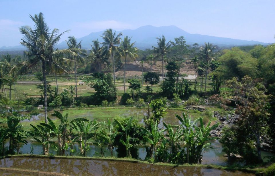 Lombok Rice Field Walking Tour - Highlights