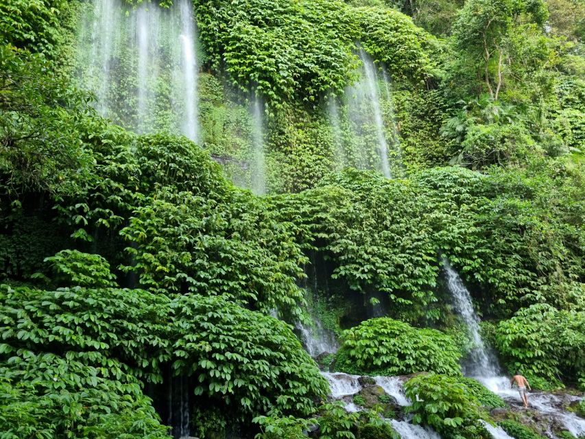 Lombok: Rice Terrace Walking Tour & Benang Kelambu Waterfall - Itinerary Highlights