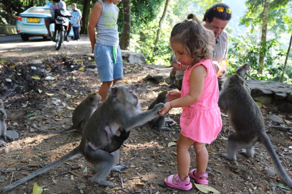 Lombok: Rice Terrace Walking Tour & Benang Kelambu Waterfall - Pusuk Monkey Forest