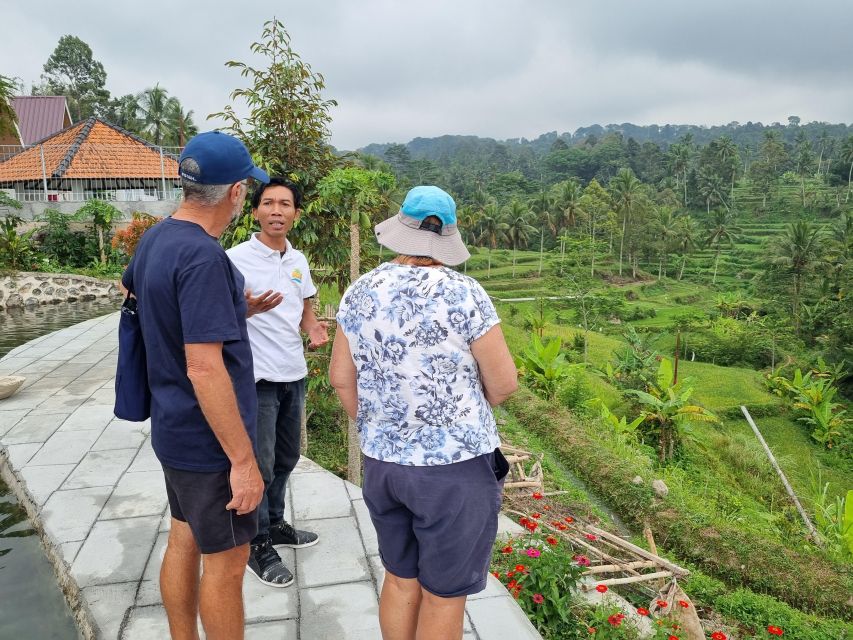Lombok: Rice Terrace Walking Tour & Benang Kelambu Waterfall - Inclusions