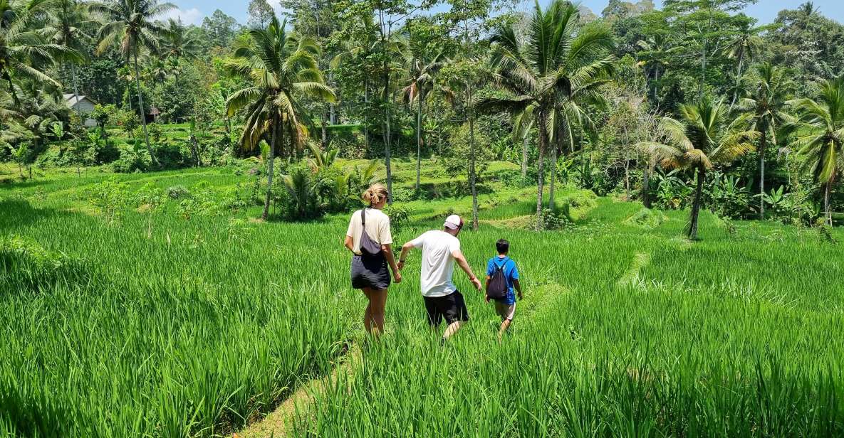 Lombok: Rice Terrace Walking Tour & Benang Kelambu Waterfall - Exclusions