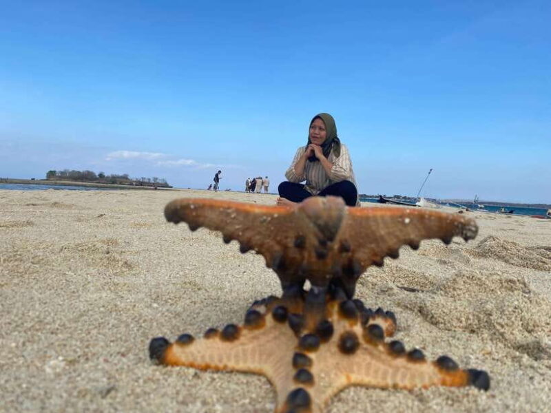 Lombok : Sand island, gili petelu, gili gambir & pink beach - FAQ