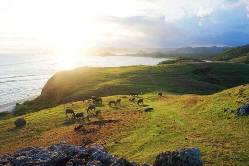Lombok Sasak Culture and village Tour - Tour Logistics and Value