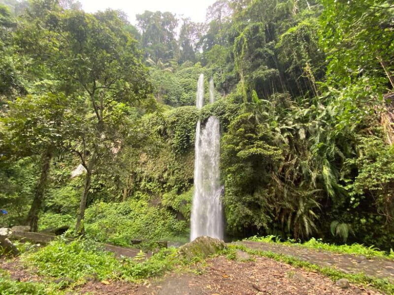 Lombok: Sendang Gile and Tiu Kelep Waterfalls Tour - The Sum Up