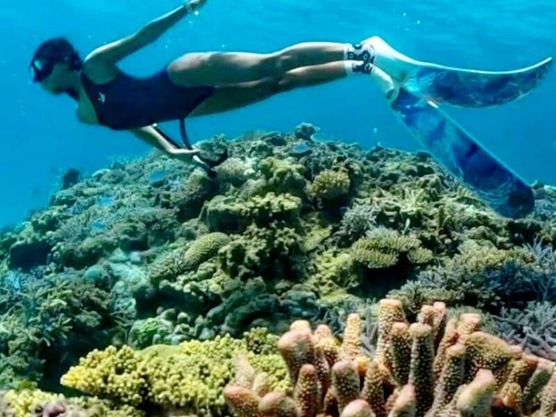 Lombok Shore Excursion Cruiser Ship : Day Tour Secret Gili - Good To Know