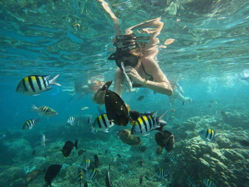 Lombok: Snorkeling to Gili Nanggu, Sudak & Kedis (Private) - Frequently Asked Questions
