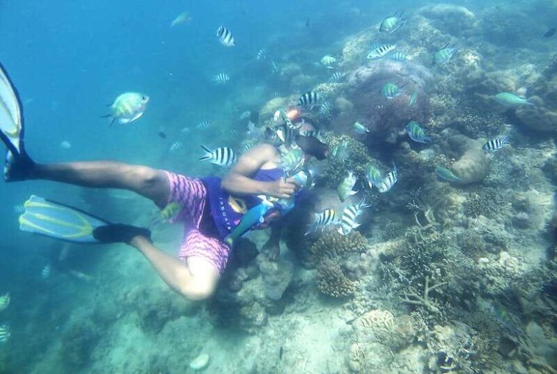 Lombok: Snorkeling Trip Gili Nanggu, Sudak & Kedis - An In-Depth Look at the Tour Experience