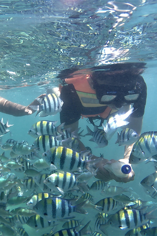 Lombok: Snorkeling Trip Gili Nanggu, Sudak & Kedis - The Sum Up: Who Will Love This Tour