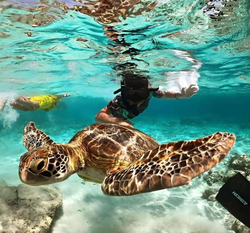 Lombok : Snorkeling Trip (Gili Trawangan, Meno & Gili Air) - Discovering the Gili Islands: What You Can Expect