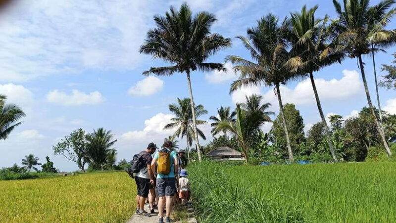 Lombok: Tetebatu Village and Rice Fields Guided Tour - Authenticity, Value, and Practical Tips