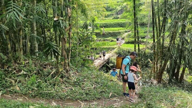 Lombok: Tetebatu Walking Tour with Monkey Forest & Waterfall - Key Points