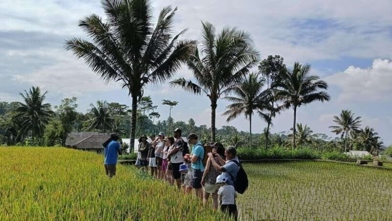 Lombok: Tetebatu Walking Tour with Monkey Forest & Waterfall - Monkey Forest: Playful Encounters in Nature