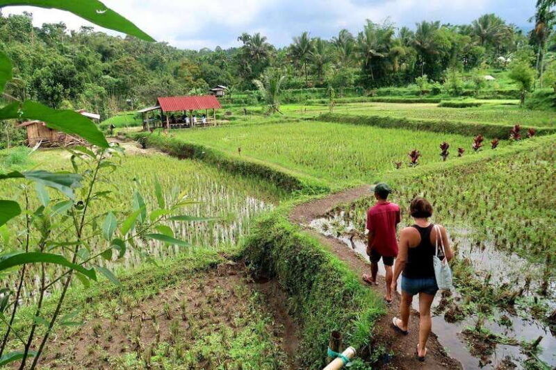 Lombok: Tetebatu Walking Tour with Monkey Forest & Waterfall - The Value of the Tour