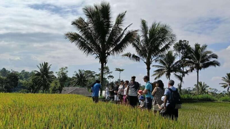Lombok: Tetebatu Walking Tour with Monkey Forest & Waterfall - A Typical Day: What to Expect