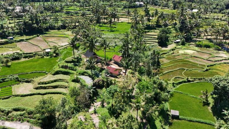Lombok: The land and the Sasak people of Lombok | Waterfall, water castle - A Deep Dive into the Tour Experience