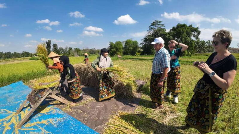 Lombok: The land and the Sasak people of Lombok | Waterfall, water castle - Frequently Asked Questions