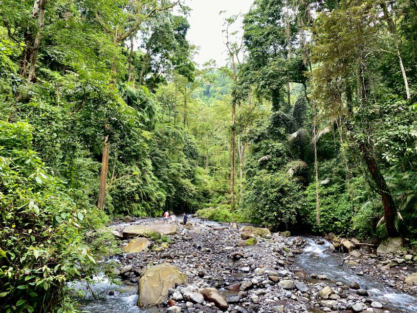 Lombok Waterfall Tour North Lombok - Tour Options and Flexibility