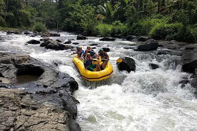 Lombok : White Water Rafting, Rice Terrace & Waterfall Tour - Transportation and Group Size