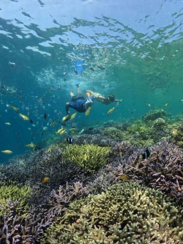 Lombok:Snorkeling trip to Gili Nanggu,Gili Sudak, Gili Kedis - The Sum Up